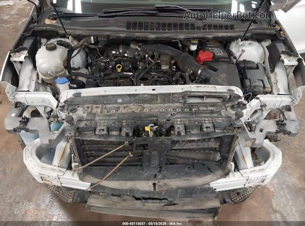 2FMPK4J96KBC75396 2019 FORD EDGE White Հետևի տեսք