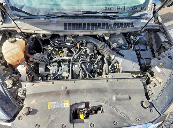 2FMPK4J9XLBA29713 2020 FORD EDGE Gray Սալոնի հետևի տեսք