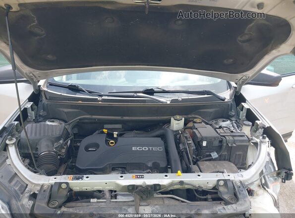 2GNAXHEV8K6128569 2019 CHEVROLET EQUINOX Silver Widok z tyłu