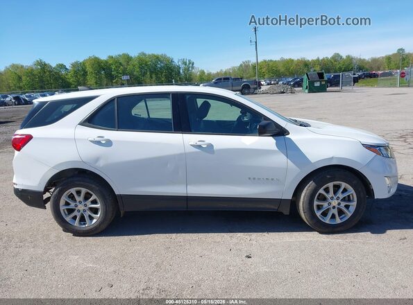 2GNAXSEV7K6157364 2019 CHEVROLET EQUINOX Белый Вид задней части салона