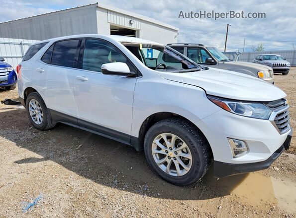 2GNAXTEV0K6202375 2019 CHEVROLET EQUINOX Белый 