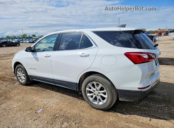 2GNAXTEV0K6202375 2019 CHEVROLET EQUINOX Белый 