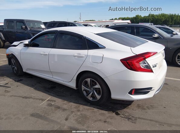2HGFC2F64LH529493 2020 HONDA CIVIC White Rear left