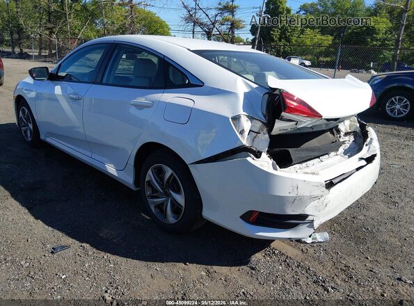 2HGFC2F64LH533317 2020 HONDA CIVIC White Rear left