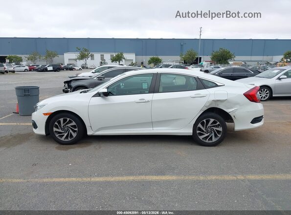 2HGFC2F84JH517715 2018 HONDA CIVIC White Սալոնի 360 աստիճան տեսք