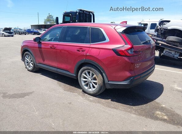 2HKRS3H71RH327883 2024 HONDA CR-V Red უკანა მარცხენა