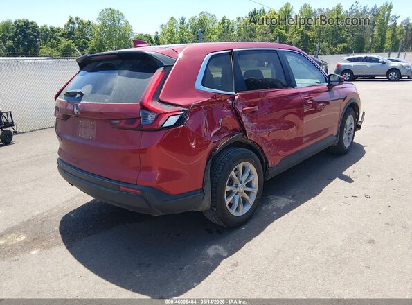 2HKRS3H71RH327883 2024 HONDA CR-V Red უკანა მარჯვენა