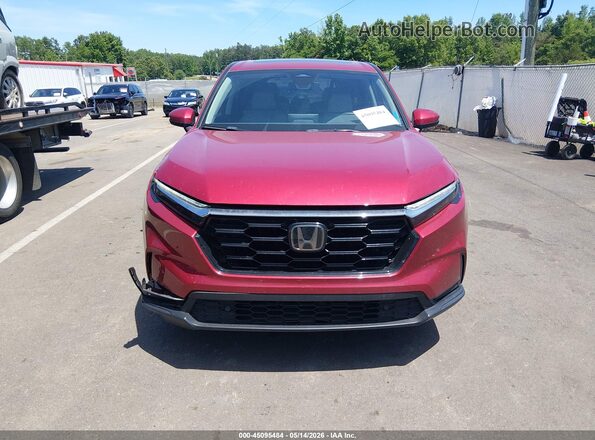 2HKRS3H71RH327883 2024 HONDA CR-V Red უკანა სალონის ხედი