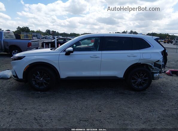 2HKRS3H71TH325316 2026 HONDA CR-V White 
