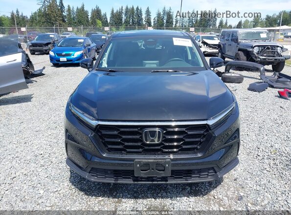 2HKRS4H75RH414675 2024 HONDA CR-V Black Սալոնի հետևի տեսք