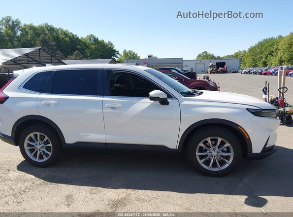 2HKRS4H77SH495331 2025 HONDA CR-V White Rear interior view