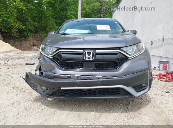 2HKRW2H82NH644976 2022 HONDA CR-V Gray Widok wnętrza z tyłu