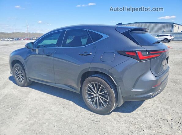 2T2ADCAZ0SC020356 2025 LEXUS NX Gray Trasero izquierdo