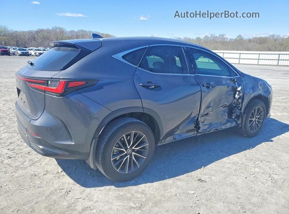 2T2ADCAZ0SC020356 2025 LEXUS NX Gray Trasero derecho