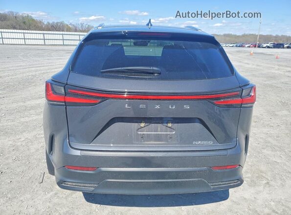 2T2ADCAZ0SC020356 2025 LEXUS NX Gray Vista trasera