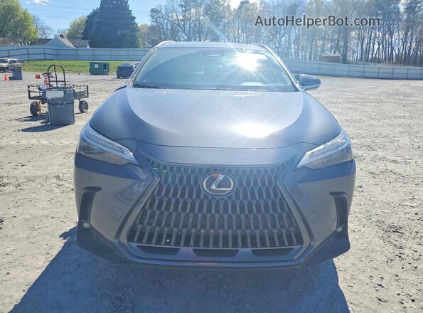 2T2ADCAZ0SC020356 2025 LEXUS NX Gray Vista frontal
