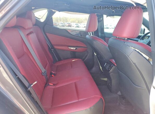 2T2ADCAZ0SC020356 2025 LEXUS NX Gray Vista de los asientos traseros