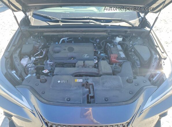 2T2ADCAZ0SC020356 2025 LEXUS NX Gray Vista interior trasera