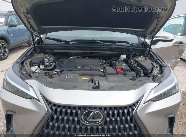 2T2ADCAZ3NC001062 2022 LEXUS NX 250 Gray Rear view