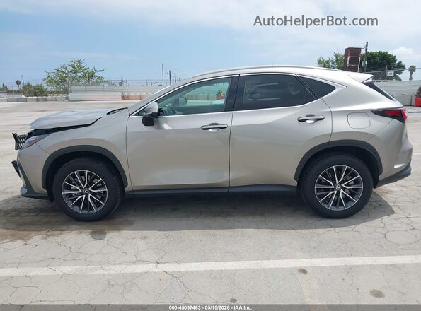 2T2ADCAZ6RC012109 2024 LEXUS NX 250 Gray სალონის 360-გრადუსიანი ხედი