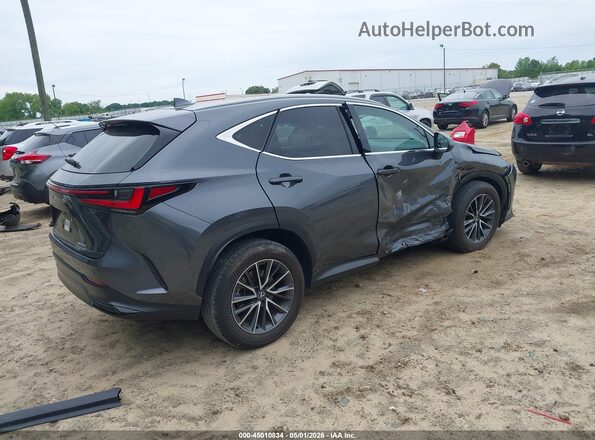 2T2ADCAZ7SC019382 2025 LEXUS NX 250 Gray Հետևի աջ