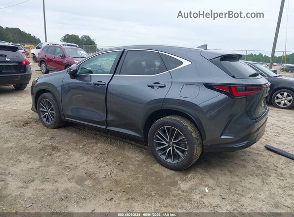 2T2ADCAZ7SC019382 2025 LEXUS NX 250 Gray Հետևի ձախ