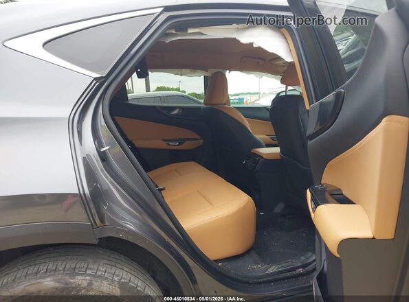 2T2ADCAZ7SC019382 2025 LEXUS NX 250 Gray VIN կոդի պիտակի տեսք