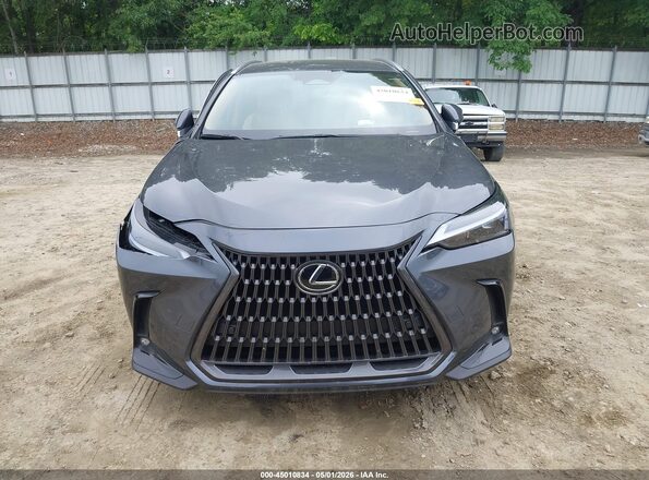 2T2ADCAZ7SC019382 2025 LEXUS NX 250 Gray Սարքավորումների վահանակի տեսք