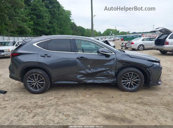 2T2ADCAZ7SC019382 2025 LEXUS NX 250 Gray Սալոնի հետևի տեսք