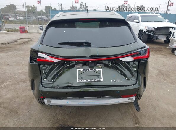 2T2ADCAZ7SC026655 2025 LEXUS NX 250 Green 