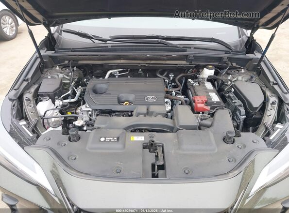 2T2ADCAZ7SC026655 2025 LEXUS NX 250 Green Vista trasera