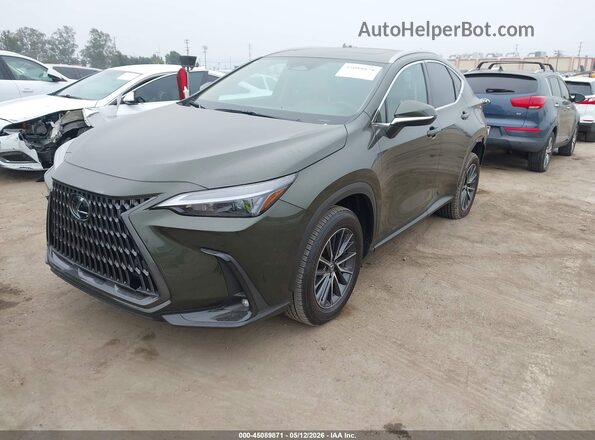 2T2ADCAZ7SC026655 2025 LEXUS NX 250 Green Vista tres cuartos delantera izquierda
