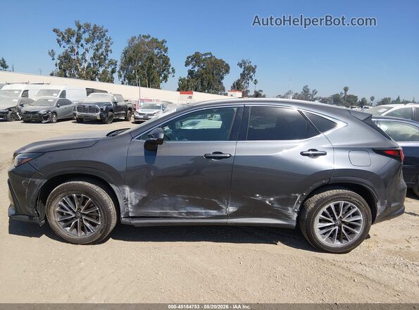 2T2ADCAZ8SC021190 2025 LEXUS NX 250 Gray სალონის 360-გრადუსიანი ხედი