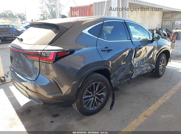 2T2ADCAZ8SC021190 2025 LEXUS NX 250 Gray უკანა მარჯვენა
