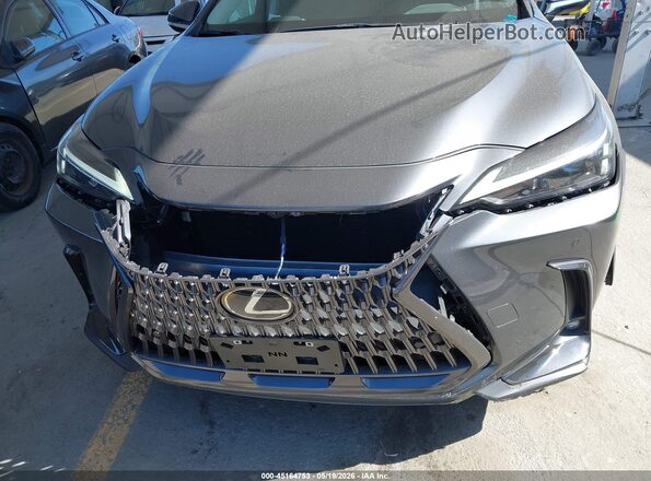 2T2ADCAZ8SC021190 2025 LEXUS NX 250 Gray 