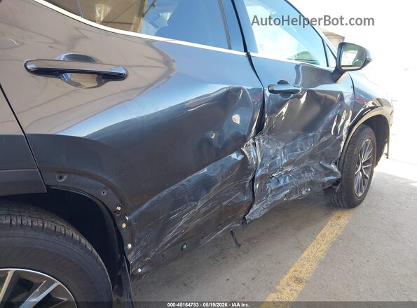2T2ADCAZ8SC021190 2025 LEXUS NX 250 Gray 