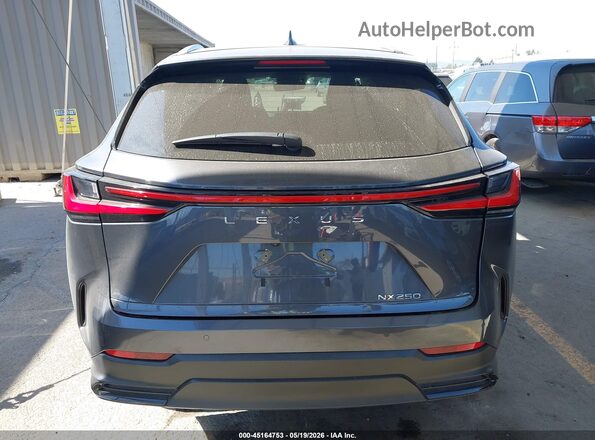 2T2ADCAZ8SC021190 2025 LEXUS NX 250 Gray 