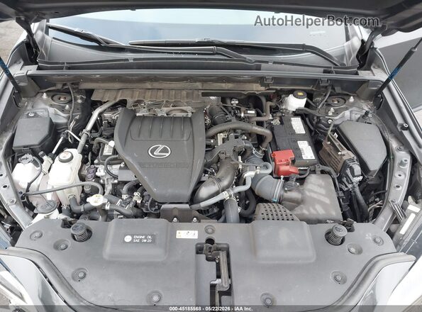 2T2AGCEZ3RC037700 2024 LEXUS NX 350 Gray 
