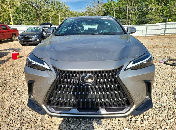 2T2AGCEZ7NC009604 2022 LEXUS NX Silver 