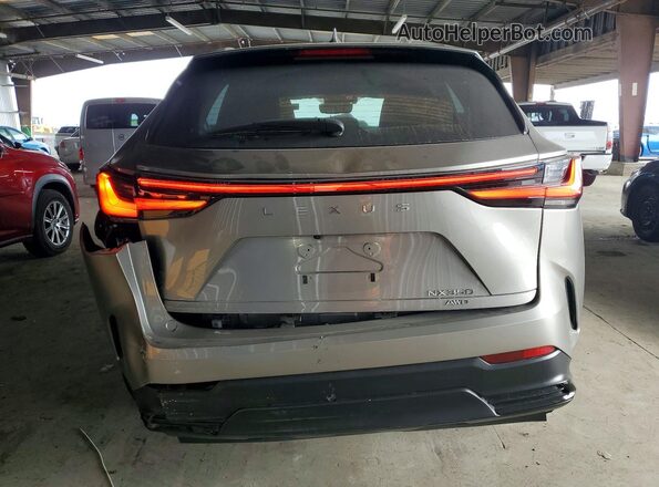 2T2AGCEZ9PC020381 2023 LEXUS NX Gray უკანა ხედი