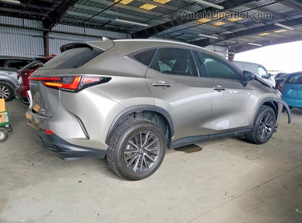 2T2AGCEZ9PC020381 2023 LEXUS NX Gray უკანა მარჯვენა
