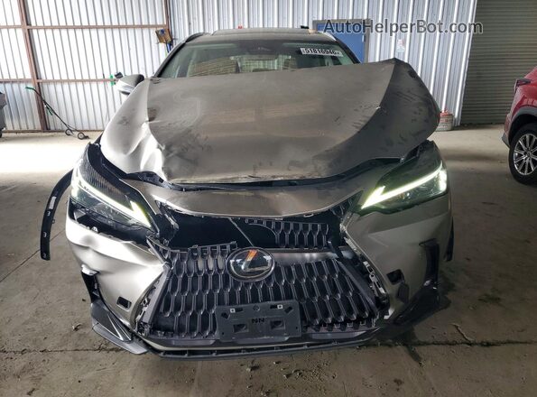 2T2AGCEZ9PC020381 2023 LEXUS NX Gray წინა ხედი