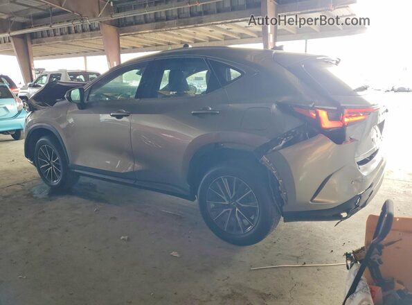 2T2AGCEZ9PC020381 2023 LEXUS NX Gray უკანა მარცხენა
