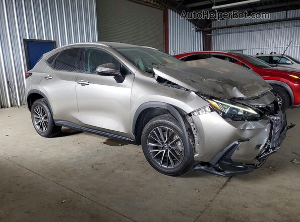 2T2AGCEZ9PC020381 2023 LEXUS NX Gray წინა მარჯვენა
