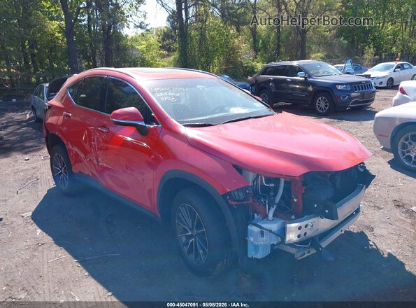 2T2AGCEZXNC002047 2022 LEXUS NX 350 Red Widok wnętrza z tyłu