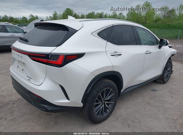 2T2AGCEZXSC062633 2025 LEXUS NX 350 Белый Задняя правая четверть