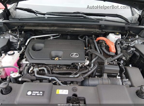 2T2AKCEZ5RC016684 2024 LEXUS NX 350H Gray 
