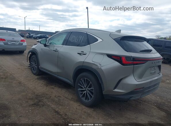 2T2AKCEZ9TC070691 2026 LEXUS NX 350H Gray Tył lewy