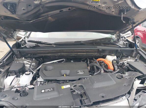 2T2AKCEZ9TC070691 2026 LEXUS NX 350H Gray Widok z tyłu