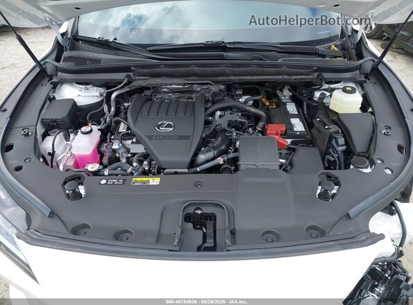 2T2BAMBA2TC075744 2026 LEXUS RX 350 Белый Вид сзади